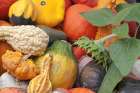 Canada, British Columbia, Keremeos. Close-up of winter squash at vendor stand. Art Print